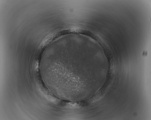 X0000112420502200908281842