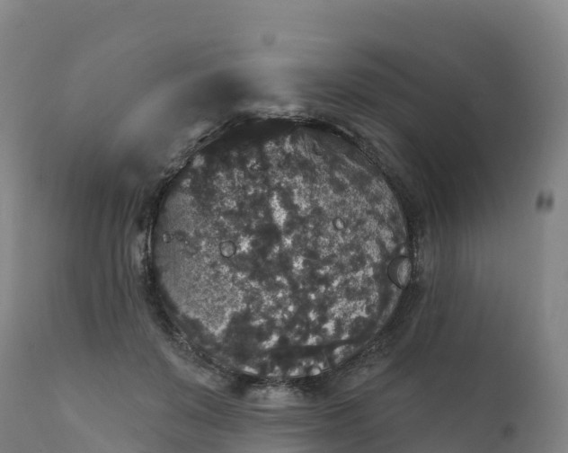 X0000112420503200908281842