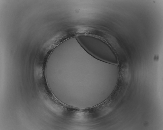 X0000112420504200908281842