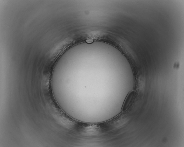 X0000112420505200908281842