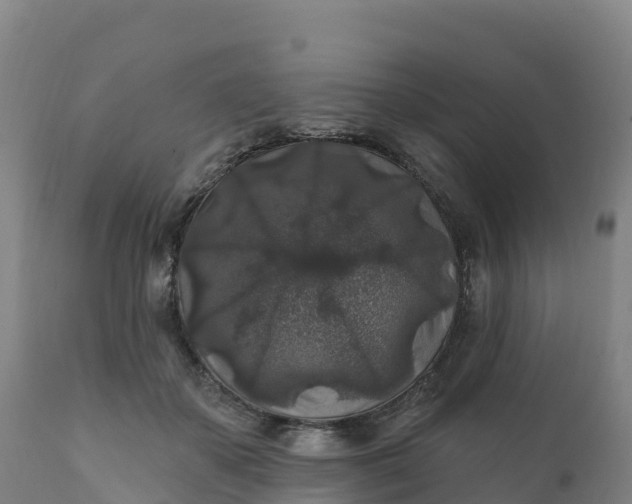 X0000112420507200908281842