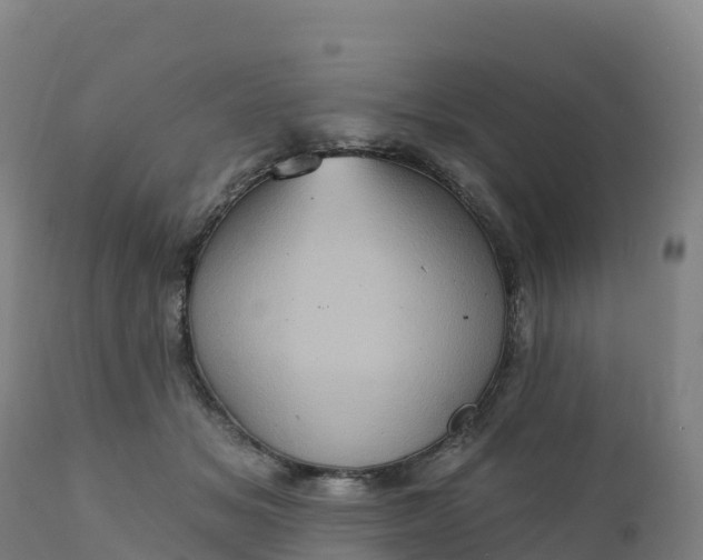 X0000112420509200908281842