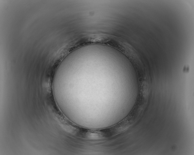 X0000112420510200908281842