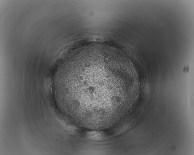 X0000112420511200908281842