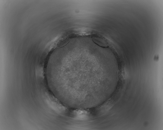 X0000112420512200908281842