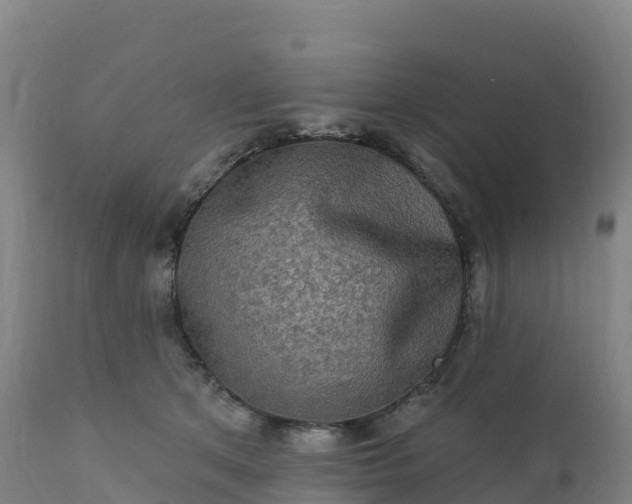 X0000112420513200908281842