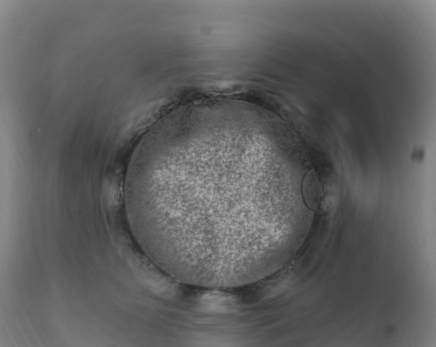 X0000112420515200908281842