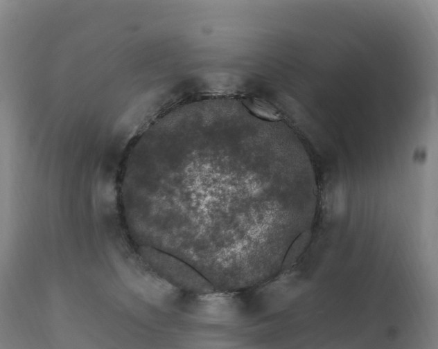 X0000112420516200908281842