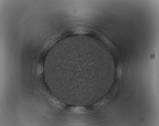 X0000112420517200908281842