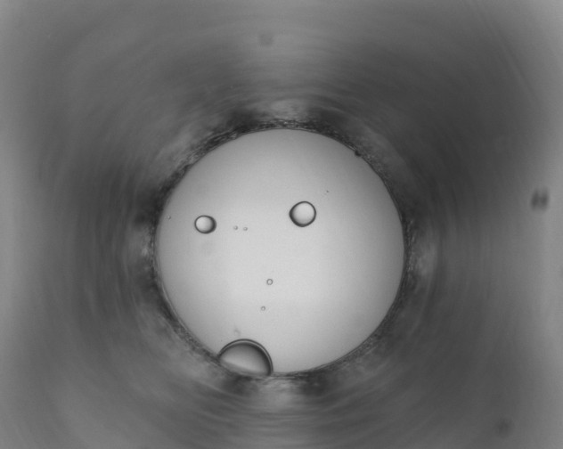 X0000112420518200908281842