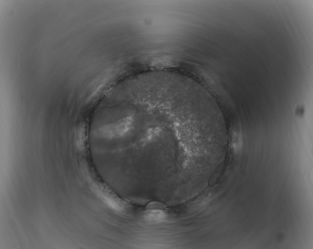 X0000112420519200908281842