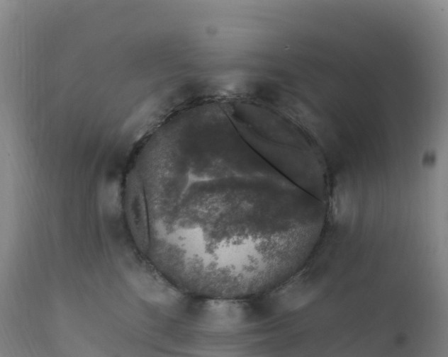 X0000112420520200908281842