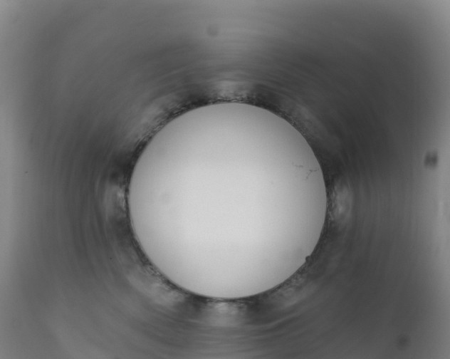 X0000112420522200908281842