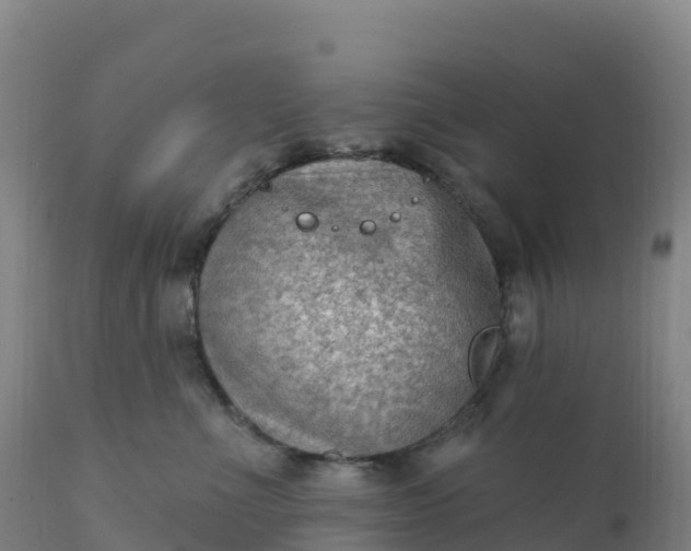 X0000112420523200908281842