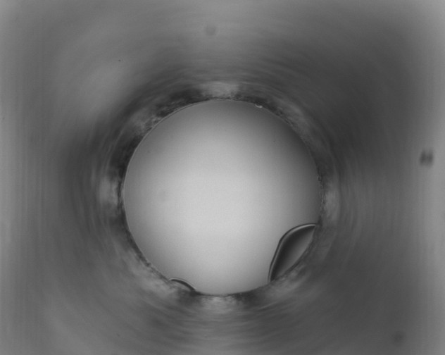 X0000112420525200908281842