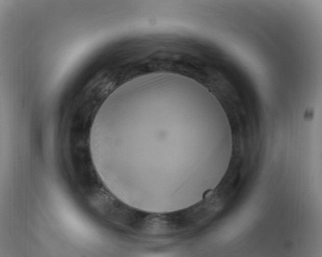 X0000112420526200908281842