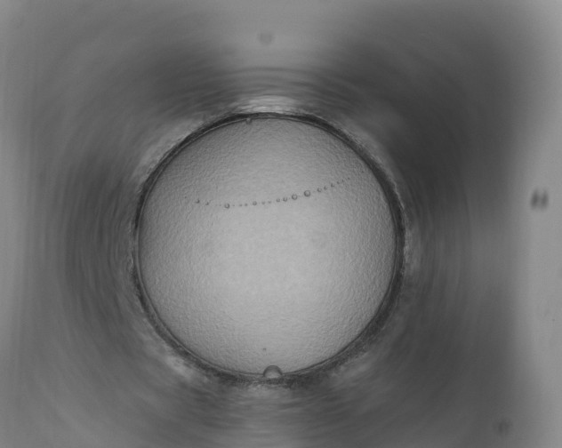 X0000112420529200908281841