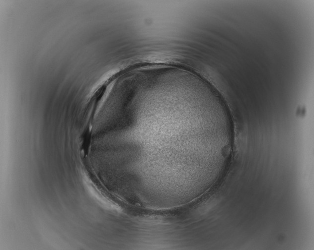 X0000112420530200908281841