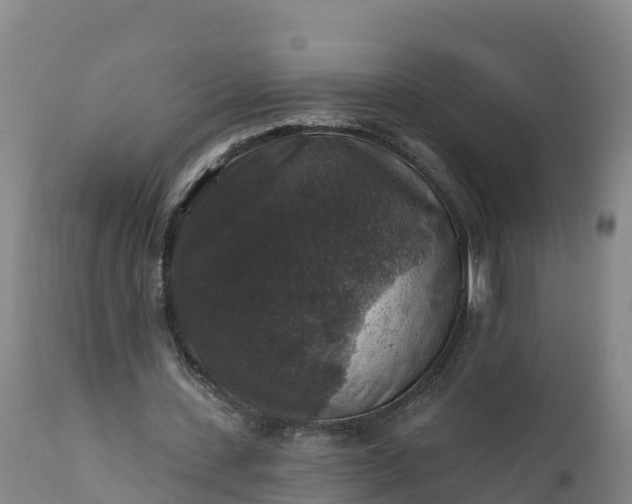 X0000112420531200908281841