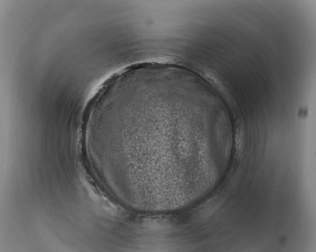 X0000112420532200908281841