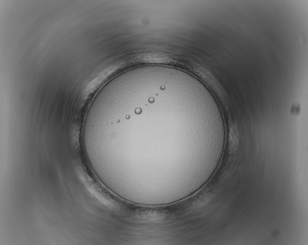 X0000112420533200908281841