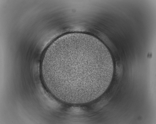 X0000112420534200908281841