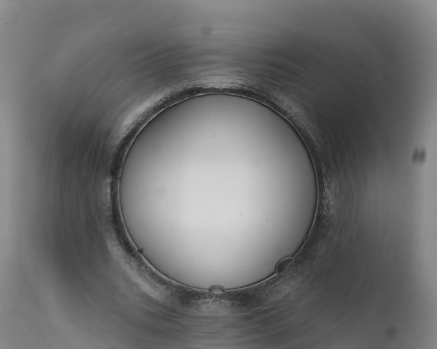 X0000112420535200908281841