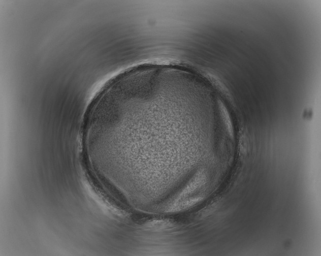 X0000112420536200908281841