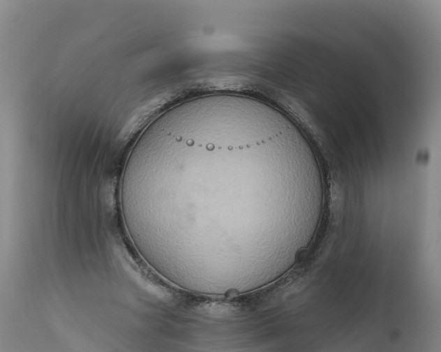 X0000112420537200908281841