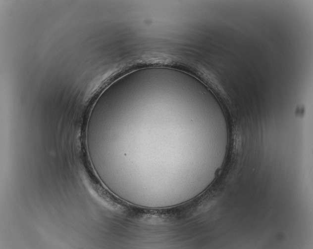 X0000112420538200908281841