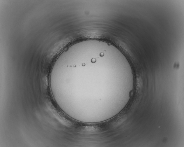 X0000112420541200908281841