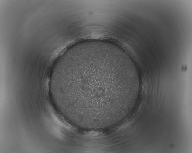 X0000112420542200908281841