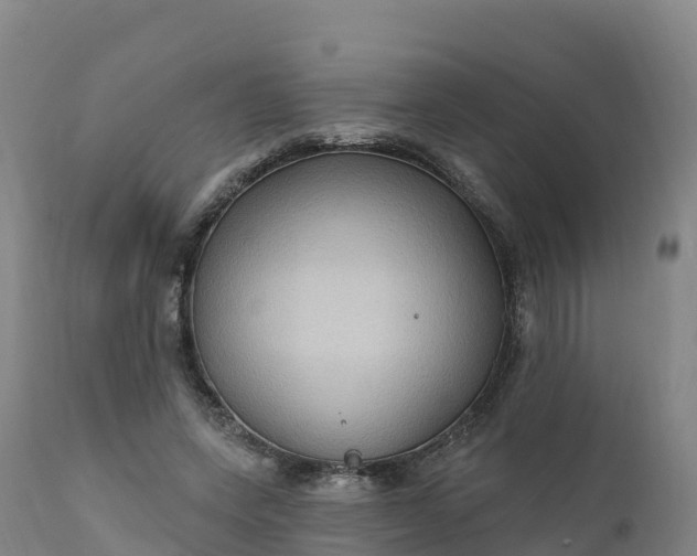 X0000112420543200908281841