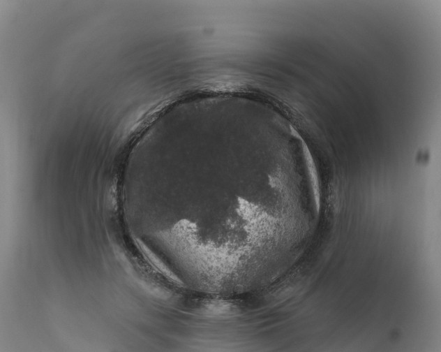 X0000112420547200908281841