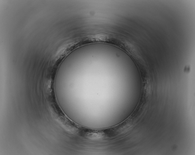 X0000112420548200908281841