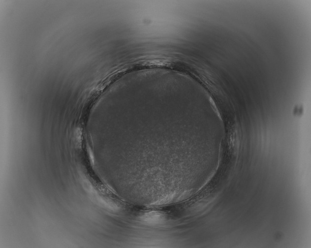 X0000112420551200908281841