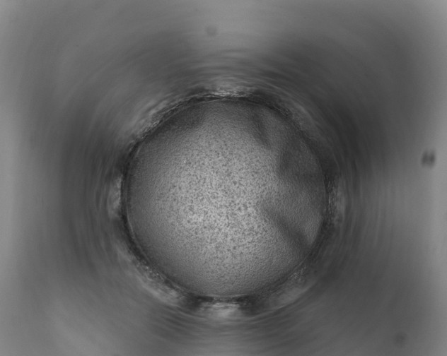 X0000112420554200908281841