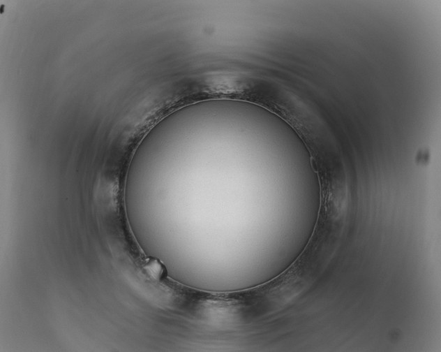 X0000112420556200908281841