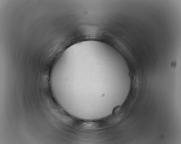 X0000112420557200908281841