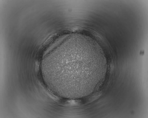 X0000112420558200908281841