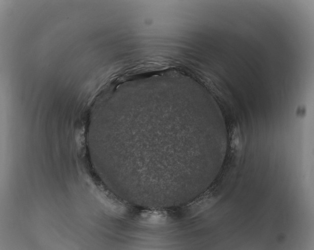 X0000112420559200908281841