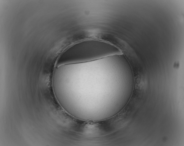 X0000112420560200908281841