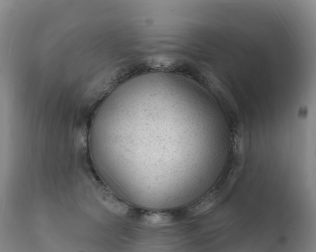 X0000112420561200908281841