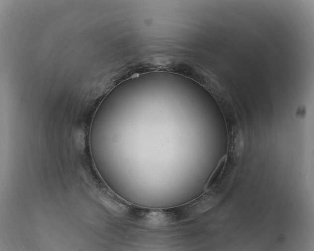 X0000112420562200908281841