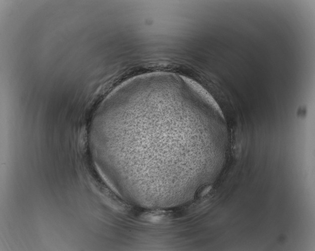 X0000112420563200908281841