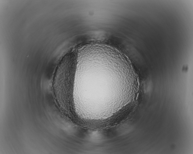 X0000112420564200908281841