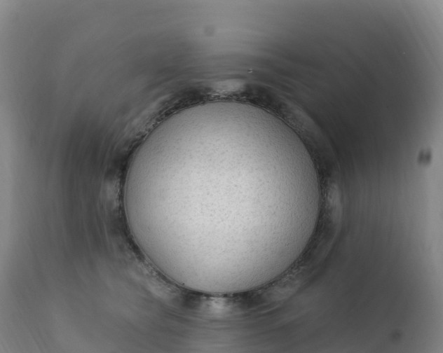 X0000112420565200908281841