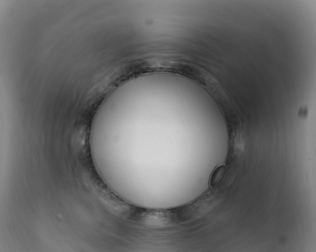 X0000112420567200908281841