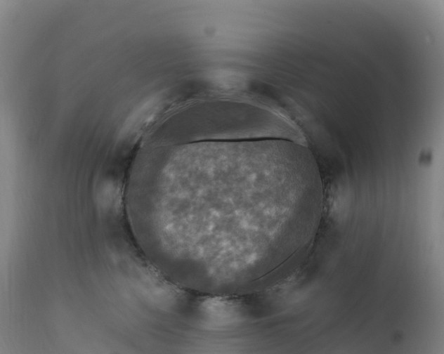 X0000112420568200908281841