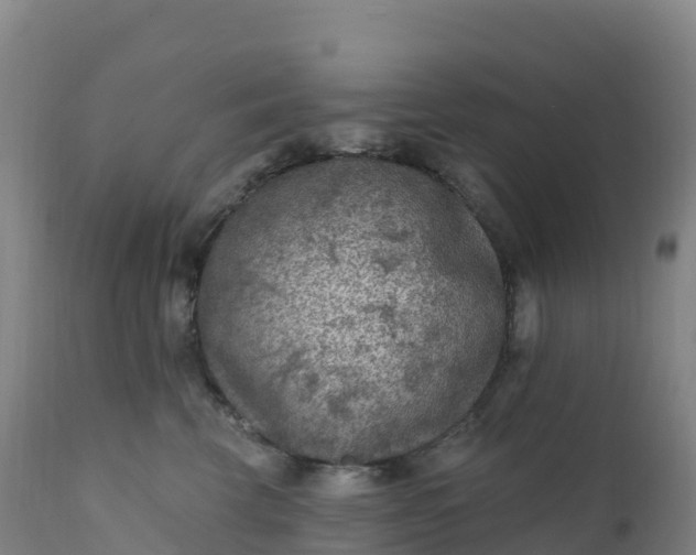 X0000112420569200908281841